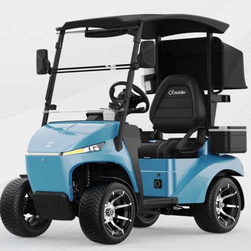 Zerk bereizten ditu Club Car eta Yamaha Golf Carts elektrikoak