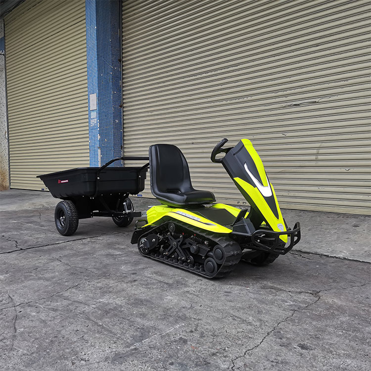 Elektrizitate-zerbitzua Snowmobile-Eserrita